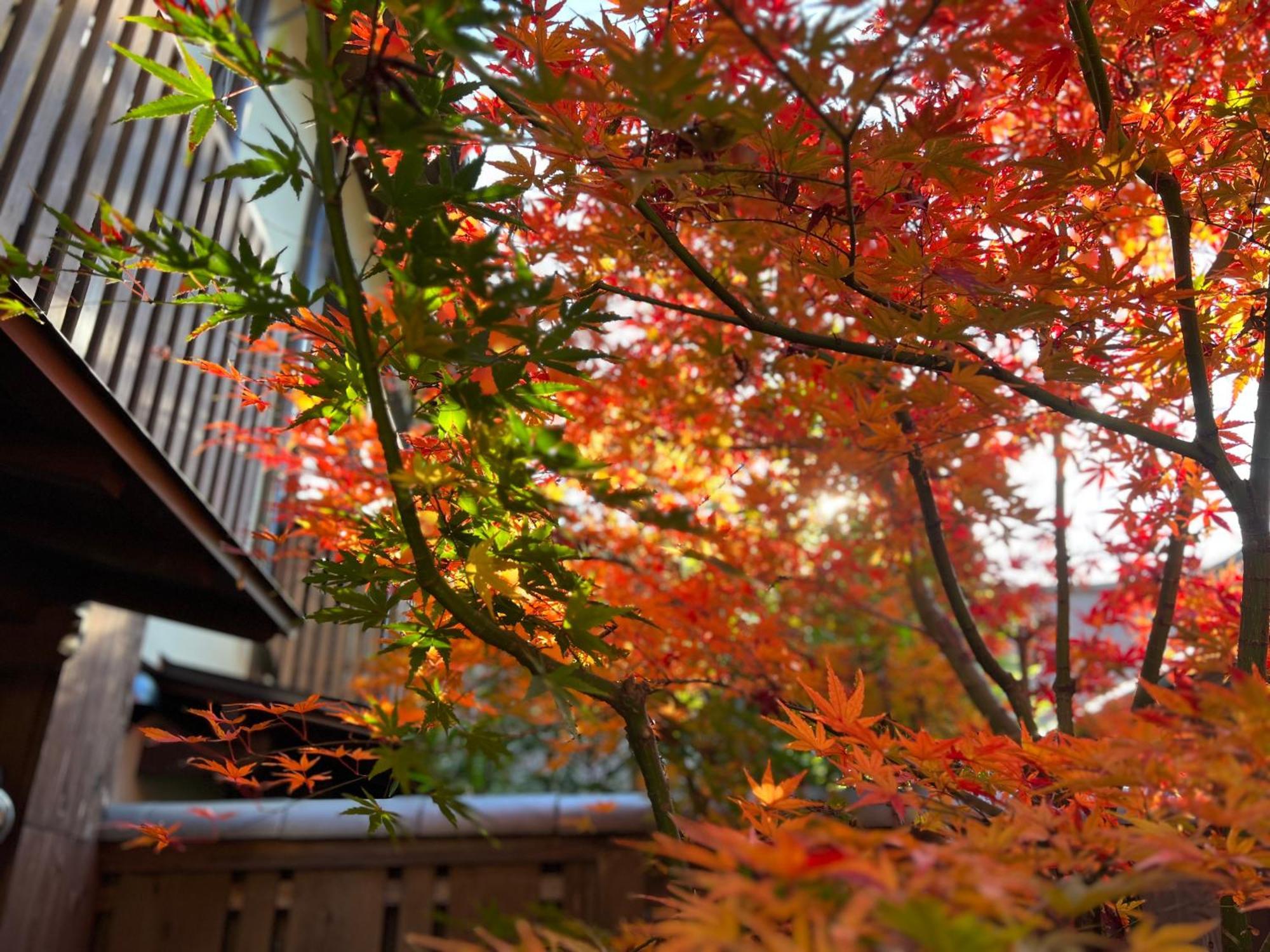 Вилла Imakumano Terrace - Dohachi An 道八庵 Киото Экстерьер фото